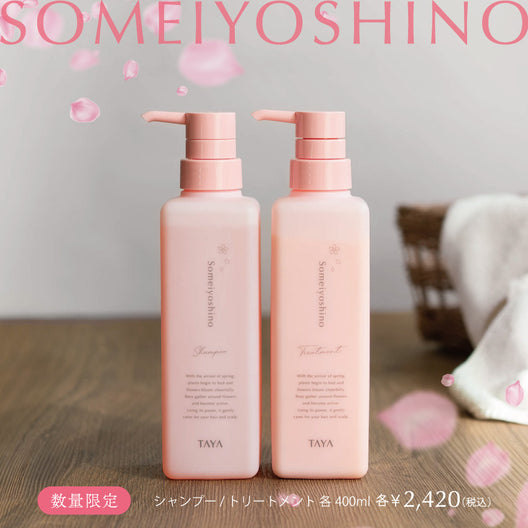 2026 そめいよしの シャンプー＆トリートメントセット